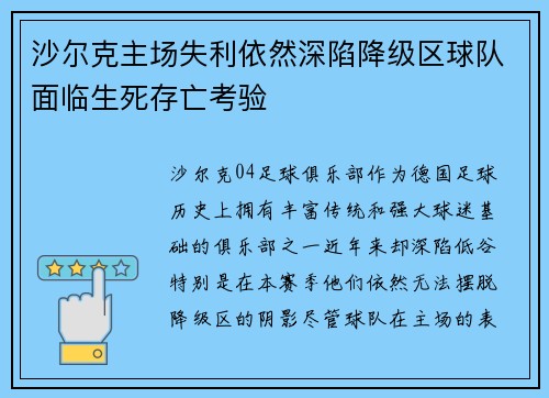 沙尔克主场失利依然深陷降级区球队面临生死存亡考验