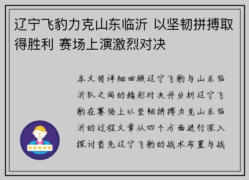 辽宁飞豹力克山东临沂 以坚韧拼搏取得胜利 赛场上演激烈对决